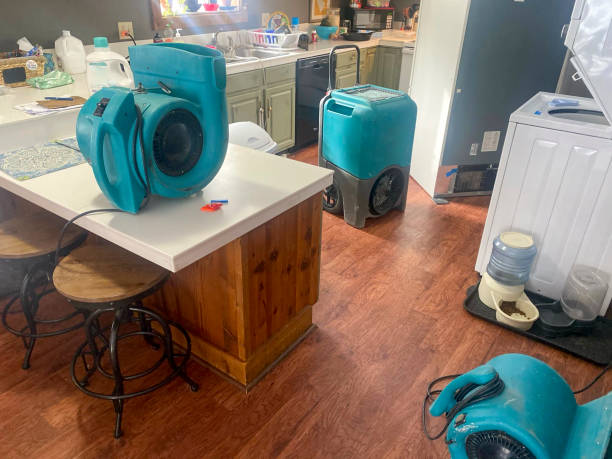 Best Emergency water damage restoration  in Afton, WY