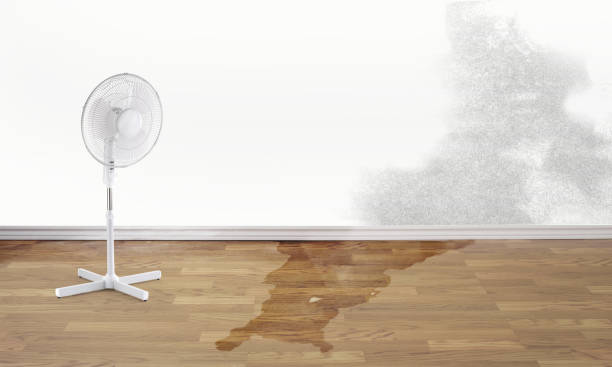 Best Residential water damage restoration  in Afton, WY
