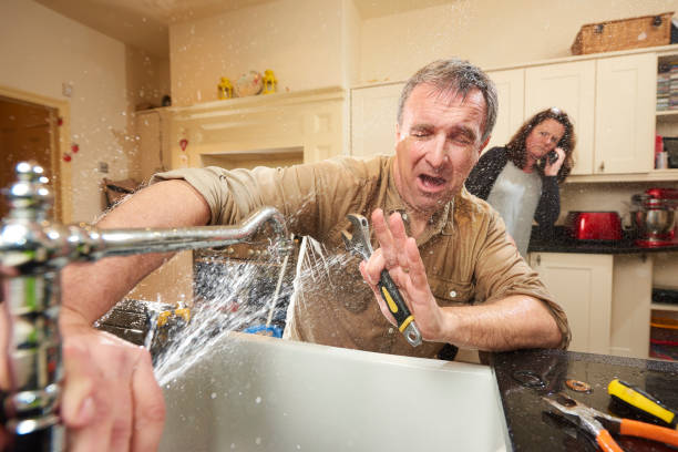 Best 24/7 water damage repair  in Afton, WY